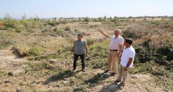 ORMAN ARAZİSİ TALANINA DAVA