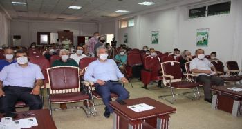 Mersin'de yeni bir muz çeşidi geliştirildi: Alata Azmanı