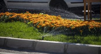 Büyükşehir Belediyesi, 4 yılda 150 kilometre otomatik sulama sistemi döşeyecek