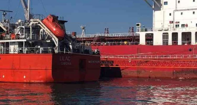 Ayçiçek yüklü ilk gemi Mersin'e ulaştı