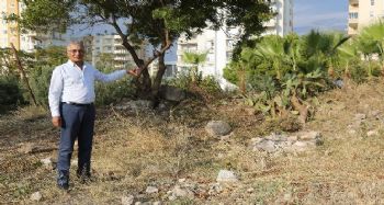 Aratos'un mezarı gün yüzüne çıkarılacak
