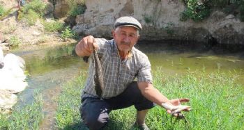 MERSİN'DE BALIK ÖLÜMLERİ