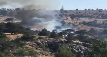 Mersin'de orman yangını büyümeden söndürüldü