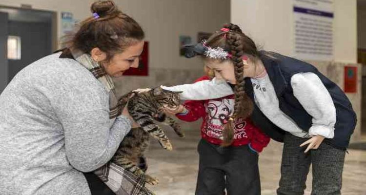 Minik Ela'ya ‘kedi evi’ sürprizi