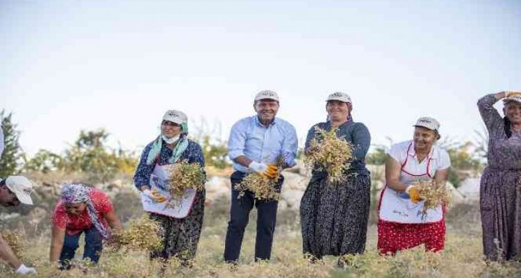 Seçer: Tarımsal üretime katkı sunmak için her türlü desteği yapıyoruz