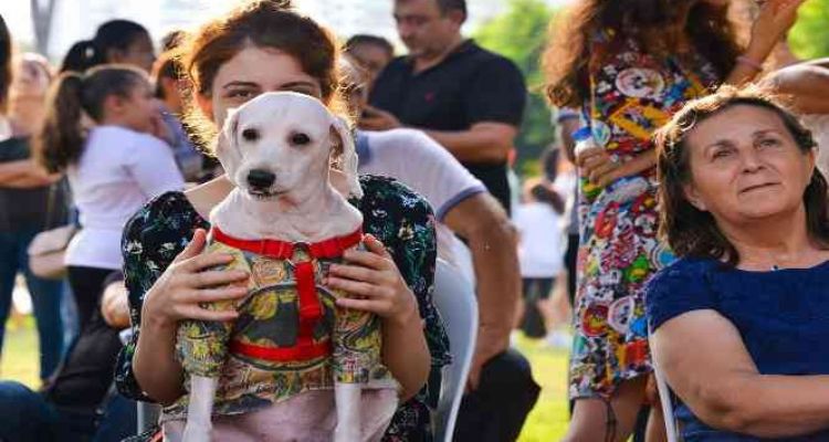 Mersin'de PatiFest'e hazırlanılıyor