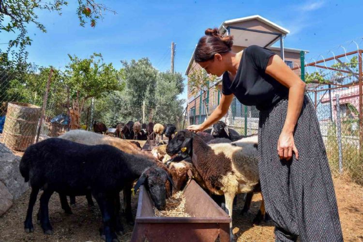 ‘Hadi gel köyümüze destek verelim’ projesi büyümeye devam ediyor