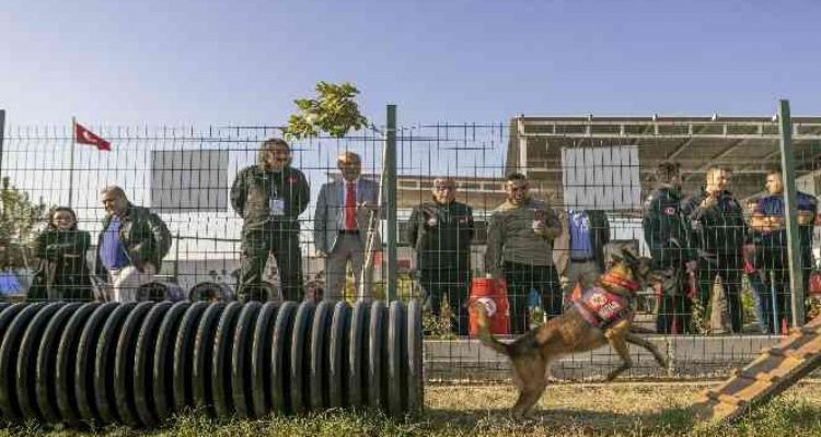 Mersin'de ‘Köpekli Arama Kurtarma Çalıştayı’ sona erdi