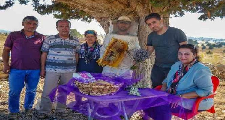 Silifke'de lavanta balı üretimi yapıldı