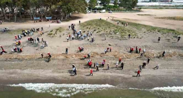 Akdeniz'de caretta carettaların yuvalandığı alanlar temizlendi