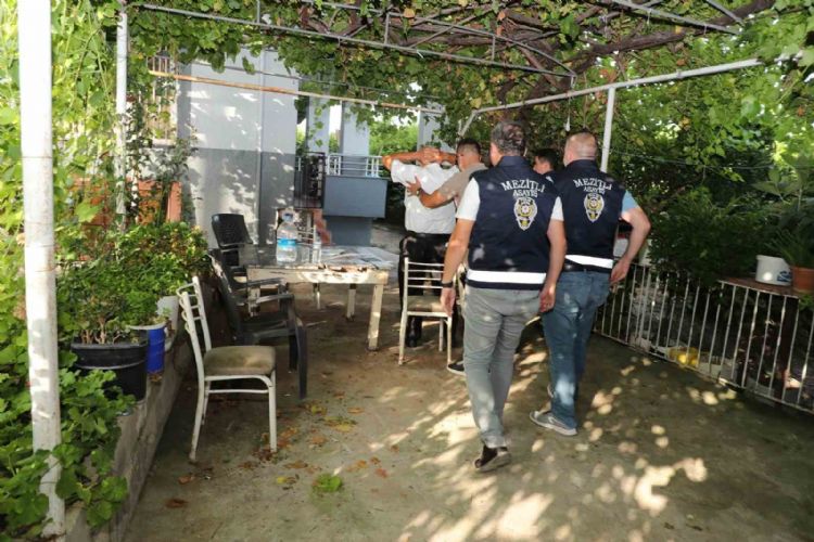 Limon bahçesinde uyuşturucu yetiştirirken yakalandı