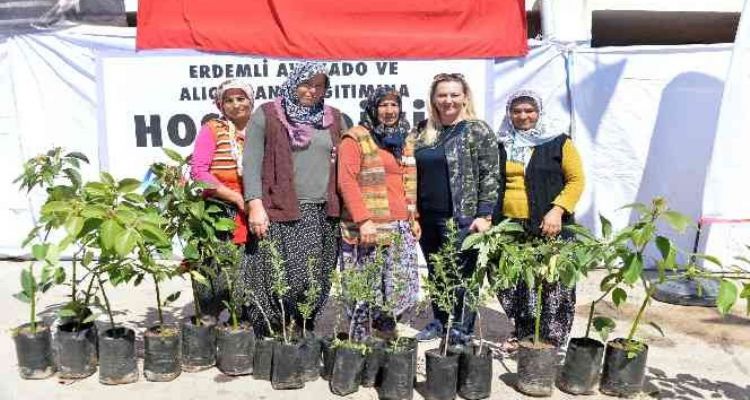 Büyükşehir Belediyesinden Erdemlili üreticilere avokado ve alıç fidanı