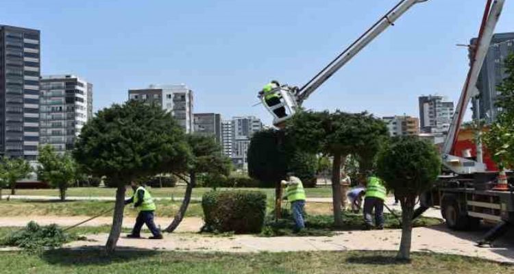 Toroslar'da park ve yeşil alanlar bakımdan geçiyor
