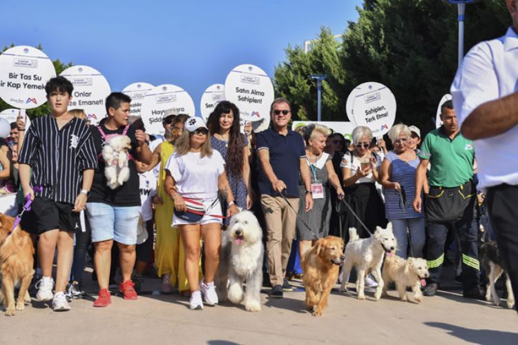 MERSİN PATİFEST’TE BULUŞTU