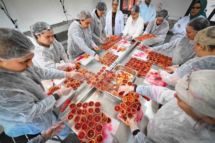 Mersin’de kan portakalı kadınların elinde değer kazanıyor