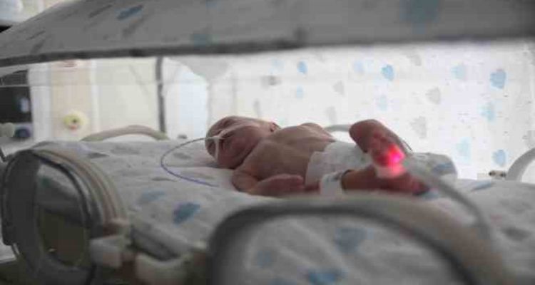 Deprem bölgesinden Mersin'e getirilen bebekler, DNA eşleşmesi ile ailelerine teslim ediliyor