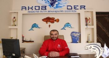 Balon balığı avı balıkçıları sevindirdi