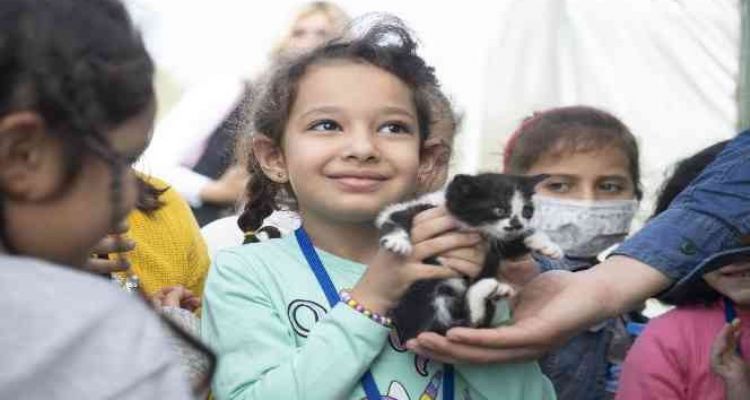 Gönüllüler sokak hayvanlarını besledi
