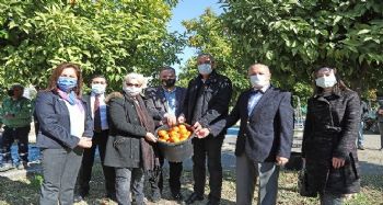 Mersin'de turunçlar salata sosu olarak ekonomiye kazandırılacak