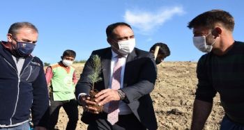 Güldünya'nın ismi Toroslar'da yaşayacak