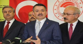 Bakan Pakdemirli: "Boru hattında yerinde çıkma var"