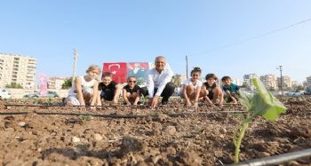 Mersin'de şehir manzaralı biberiye ve sebze tarlası