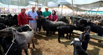 Toroslar'da bayram hazırlıkları tamamlandı