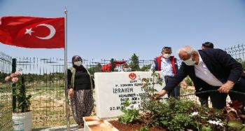 Şehit mezarları güllerle donatıldı