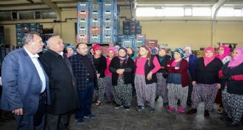 BAŞKAN TOLLU ÜRETİCİLERLE BULUŞTU