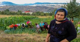 ÜMMİYE KOÇAK İNOVASYON HAFTASI’NDA 
