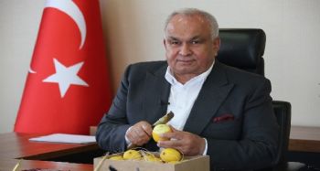 Başkan Tollu'dan ‘limon tüketin’ çağrısı