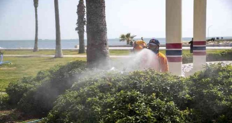 Mersin'de ilaçlama çalışmaları hız kazandı