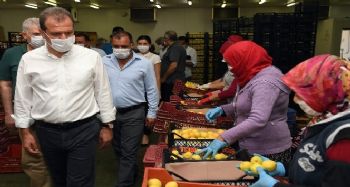 Seçer: "Yeni yapılacak tesisle Silifke ve Taşucu'nun arıtma sorununu birlikte çözeceğiz"