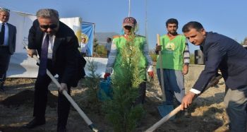 Mersin'de Uluslararası Turunçgil Kongresi Hatıra Ormanı oluşturuldu