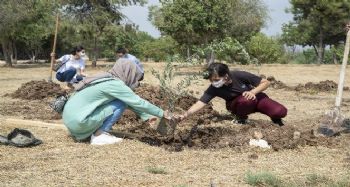 Mersin Büyükşehir Belediyesi, üniversiteyi kazanan gençler için zeytin fidanı dikti