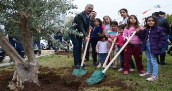 TECE SAHİLİNE ZEYTİN AĞACI DİKİLDİ