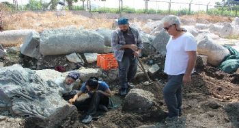 Soli Pompeiopolis 2019 kazı çalışmaları sona erdi