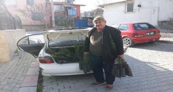 MUHTARDAN “VATANINI SEVİYORSAN AĞAÇ DİK” KAMPANYASI