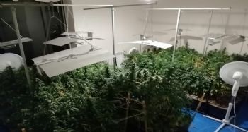 Uyuşturucu yetiştirmek için evi laboratuvara çevirmiş