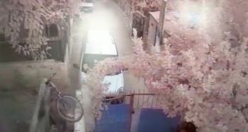 Çaldığı bisikleti geri getirdi