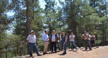 Akduman, Erdemli'deki ormancılık faaliyetlerini inceledi