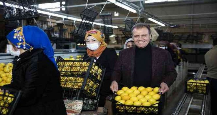Başkan Seçer'den belediye başkanlarına ‘limon' çağrısı
