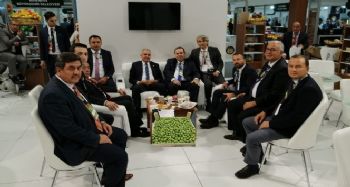 Tarsus'un ‘Sarıulak Zeytini’ görücüye çıktı