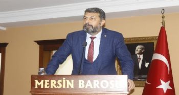 Yeşilboğaz: "Ağaç katliamını yapanın tek kişi olmadığını hepimiz biliyorduk"
