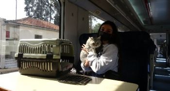 Mersin'de 1 yıl aradan sonra 3 kente tren seferleri başladı