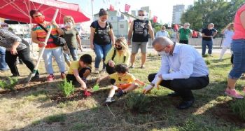 Mezitli'de Çevre Haftası'nda fidan dikildi