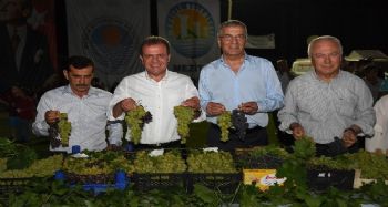 Mersin'de 3. Örtüaltı Üzüm Festivali yapıldı