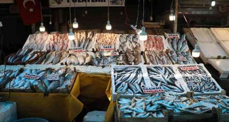 Çiftlik balığı fiyatları deniz balıklarını geçti