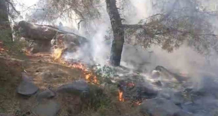 Mersin'de orman yangını, 4 dönüm zarar gördü
