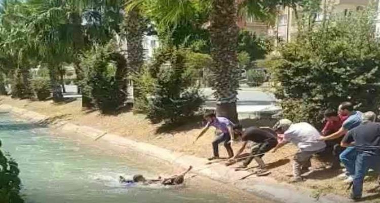 Kanala düşen çocuğu, gençler kurtardı